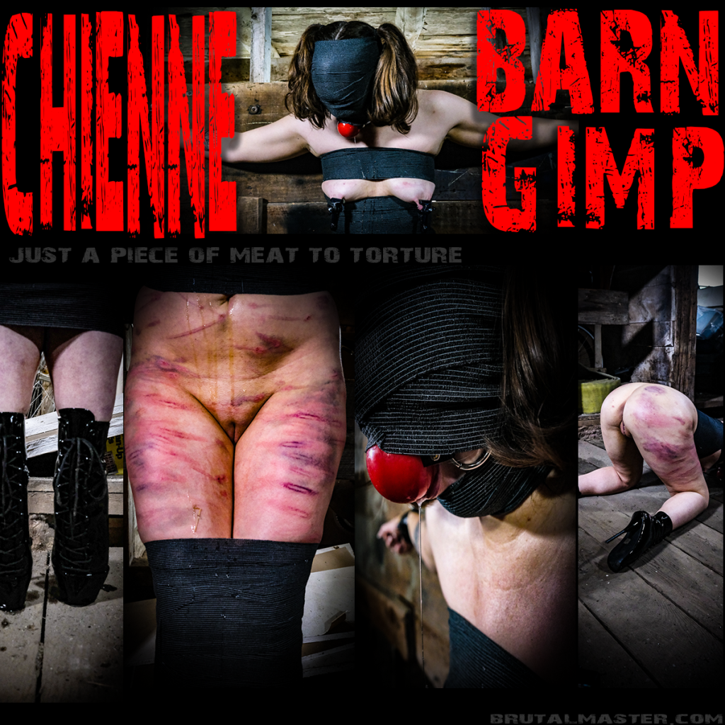 Chienne - Barn Gimp