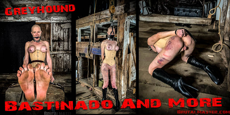 Greyhound - Bastinado and More